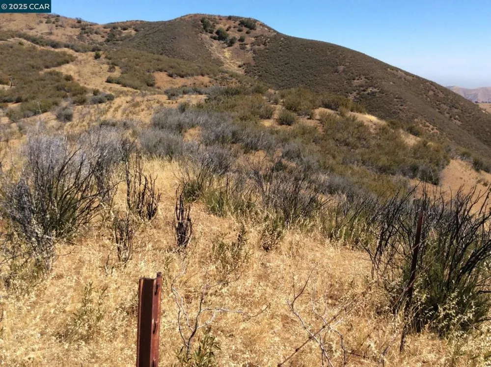 Del Puerto Canyon Road Patterson, CA 95363
