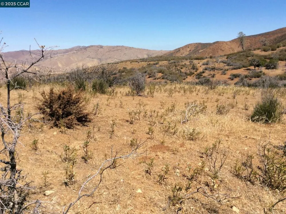 Del Puerto Canyon Road Patterson, CA 95363