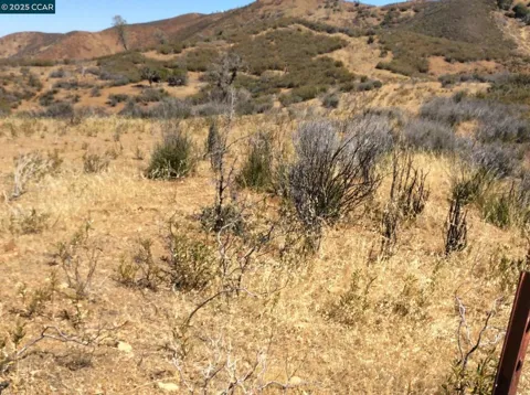 Del Puerto Canyon Road