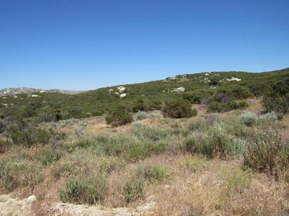 34679 Old Hwy 80 Pine Valley, CA 91962