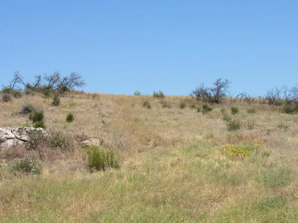 34679 Old Hwy 80 Pine Valley, CA 91962