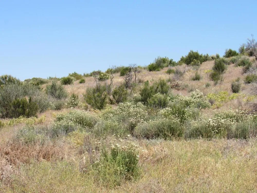 34679 Old Hwy 80 Pine Valley, CA 91962