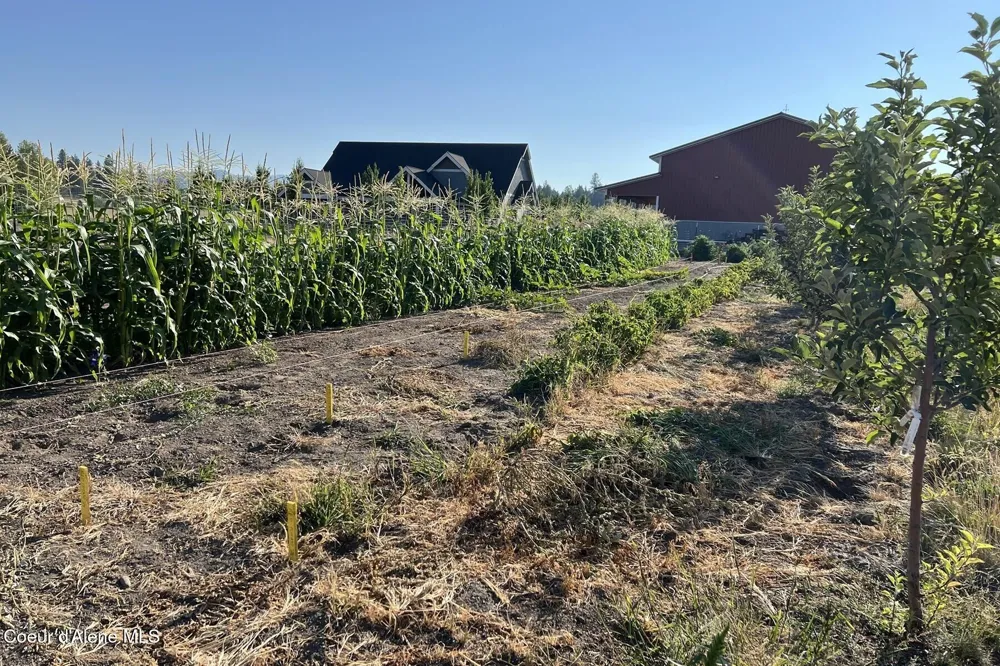 12399 Meadow Wood Lane Hayden, ID 83835