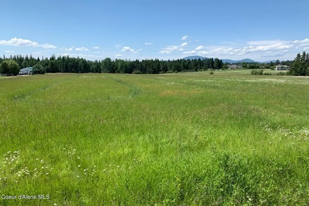 12399 Meadow Wood Lane Hayden, ID 83835