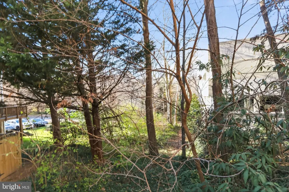 128 REES PLACE Falls Church, VA 22046