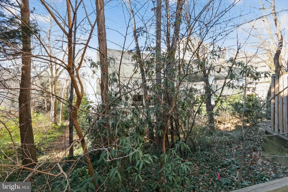 128 REES PLACE Falls Church, VA 22046