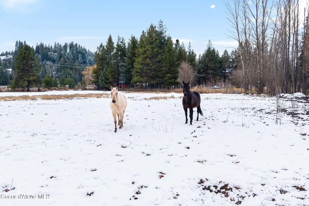 966 Kootenai Road Sandpoint, ID 83864