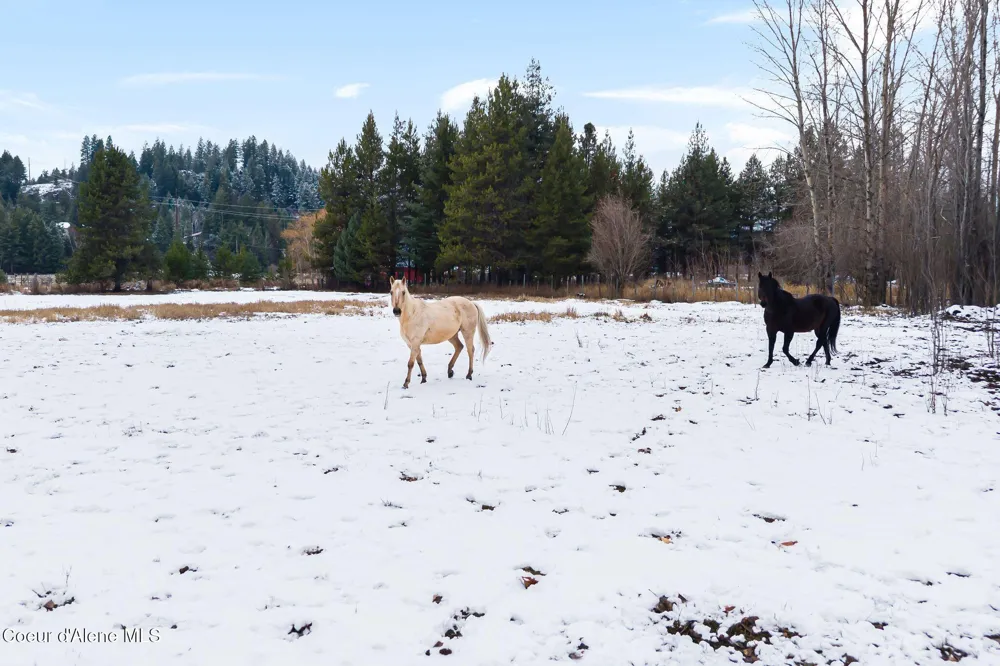 966 Kootenai Road Sandpoint, ID 83864