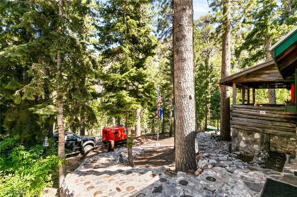 4075 Cougar Ridge Trail Mount Charleston, NV 89124