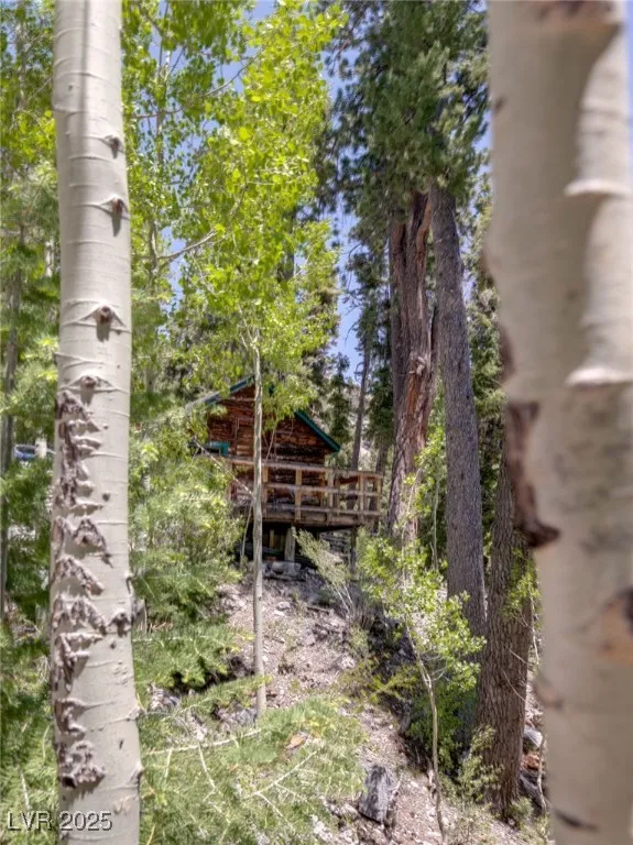 4075 Cougar Ridge Trail Mount Charleston, NV 89124