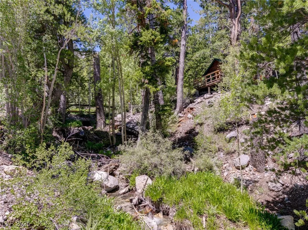 4075 Cougar Ridge Trail Mount Charleston, NV 89124