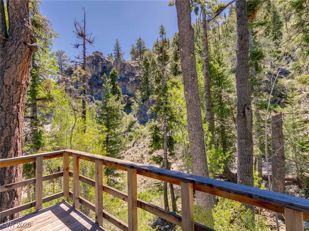 4075 Cougar Ridge Trail Mount Charleston, NV 89124