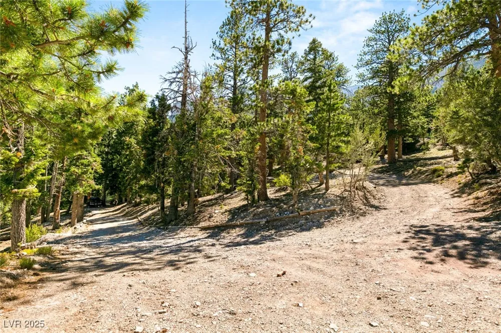 4075 Cougar Ridge Trail Mount Charleston, NV 89124