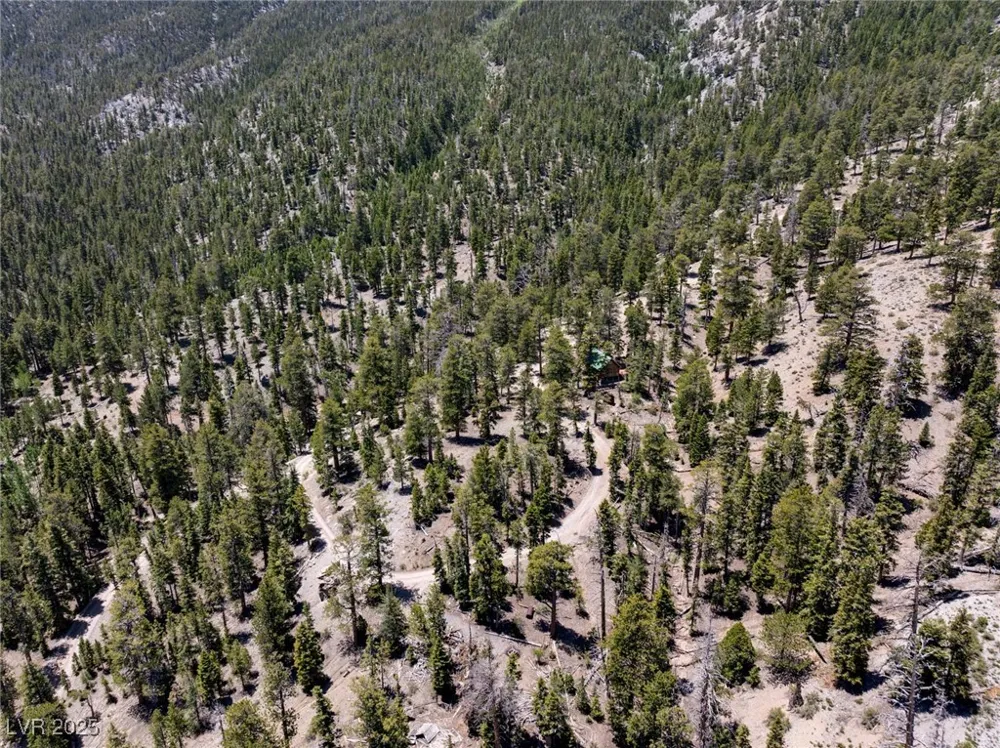 4075 Cougar Ridge Trail Mount Charleston, NV 89124