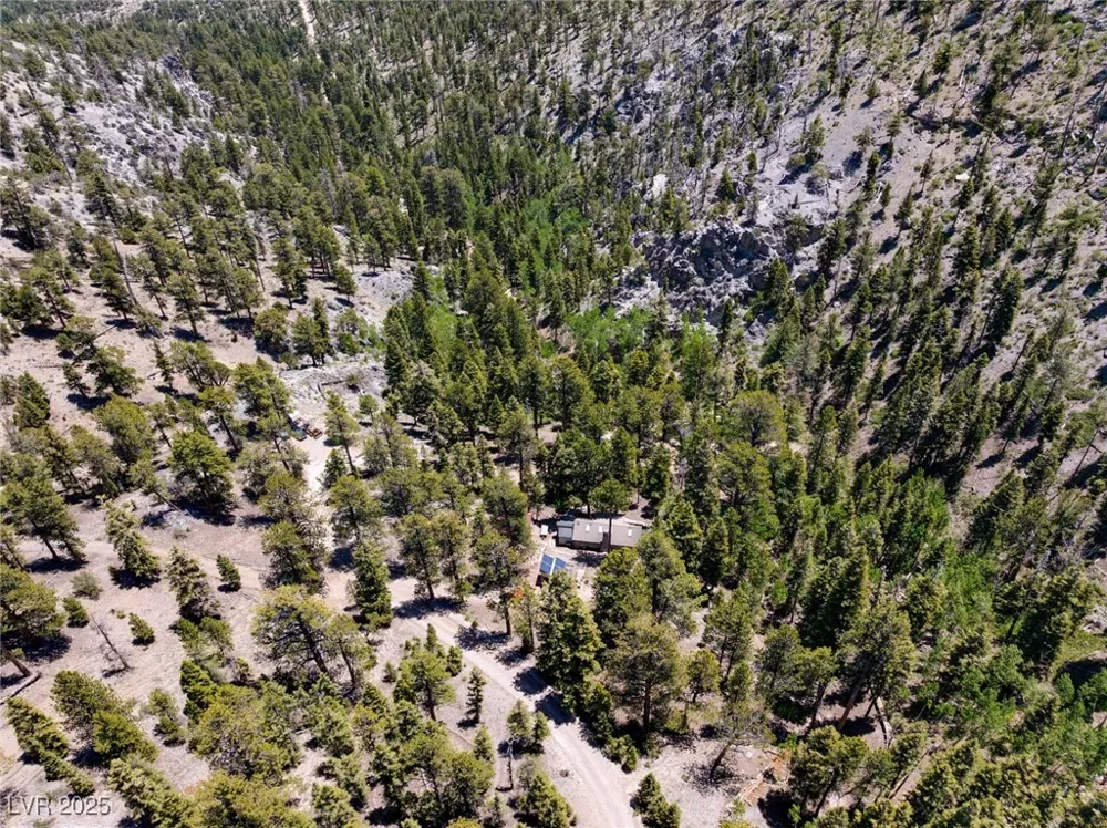 4075 Cougar Ridge Trail Mount Charleston, NV 89124