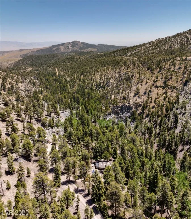 4075 Cougar Ridge Trail Mount Charleston, NV 89124
