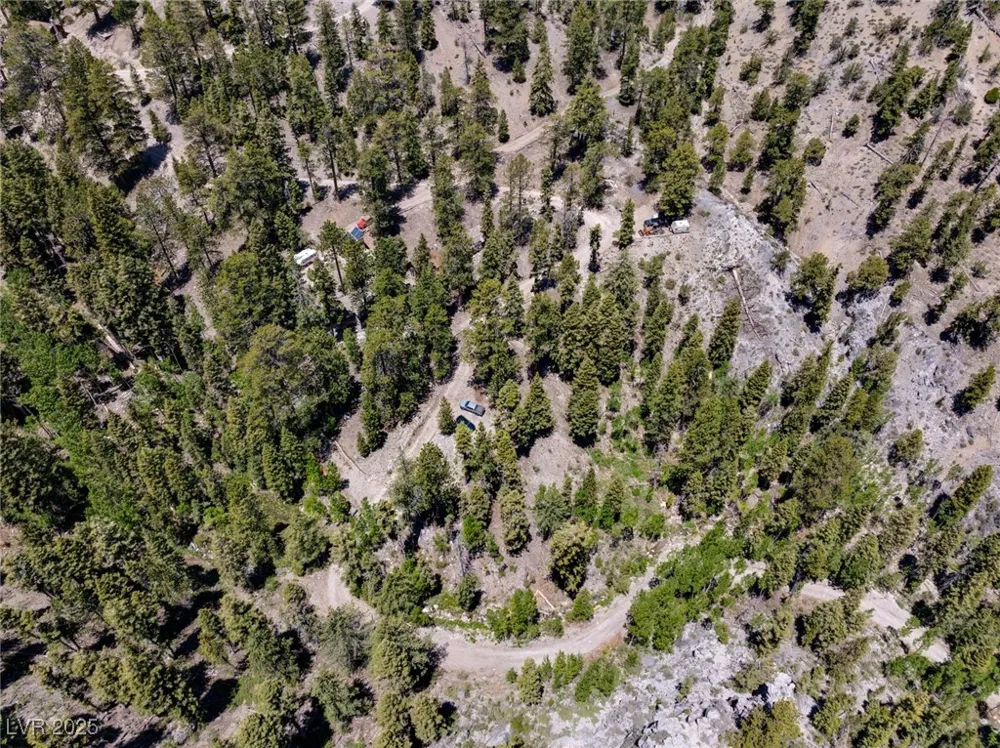 4075 Cougar Ridge Trail Mount Charleston, NV 89124