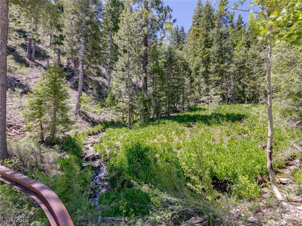 4075 Cougar Ridge Trail Mount Charleston, NV 89124