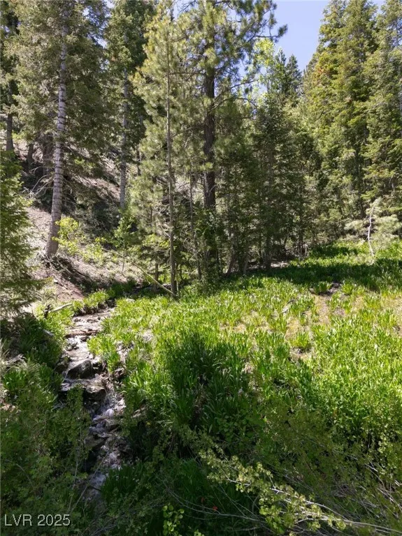 4075 Cougar Ridge Trail Mount Charleston, NV 89124