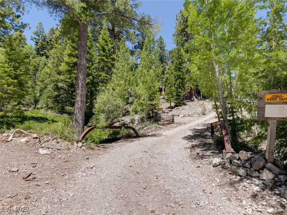 4075 Cougar Ridge Trail Mount Charleston, NV 89124