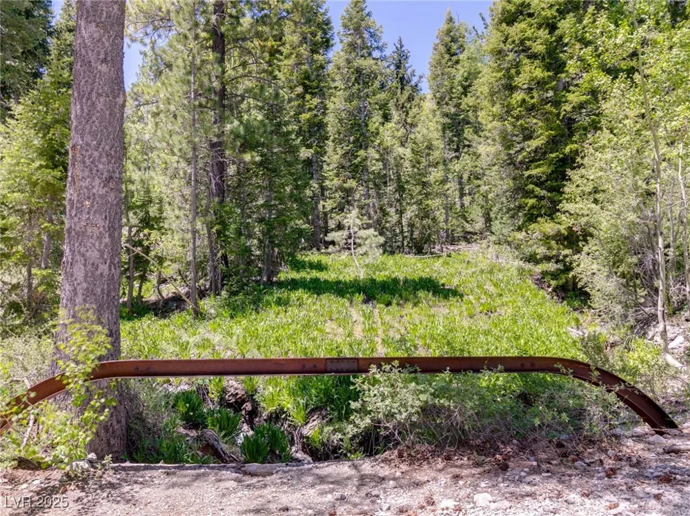 4075 Cougar Ridge Trail Mount Charleston, NV 89124