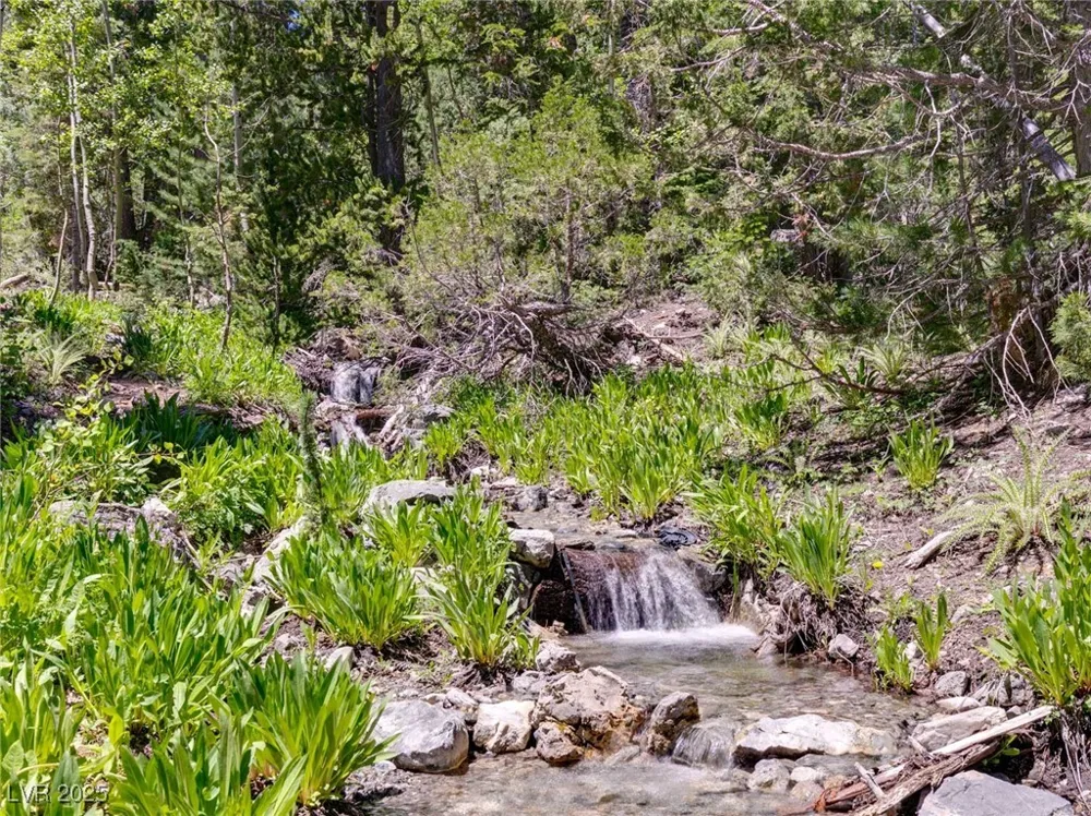 4075 Cougar Ridge Trail Mount Charleston, NV 89124