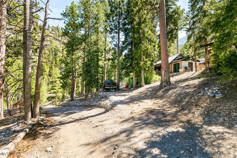 4075 Cougar Ridge Trail Mount Charleston, NV 89124
