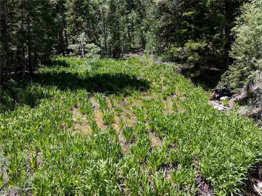 4075 Cougar Ridge Trail Mount Charleston, NV 89124