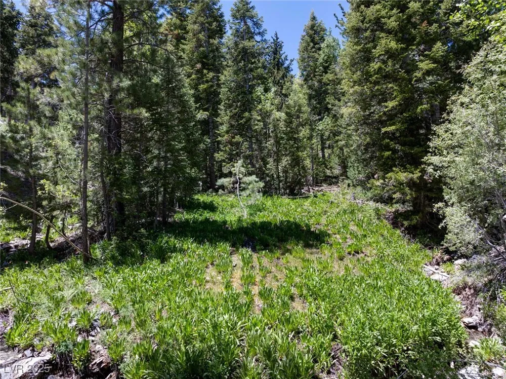 4075 Cougar Ridge Trail Mount Charleston, NV 89124