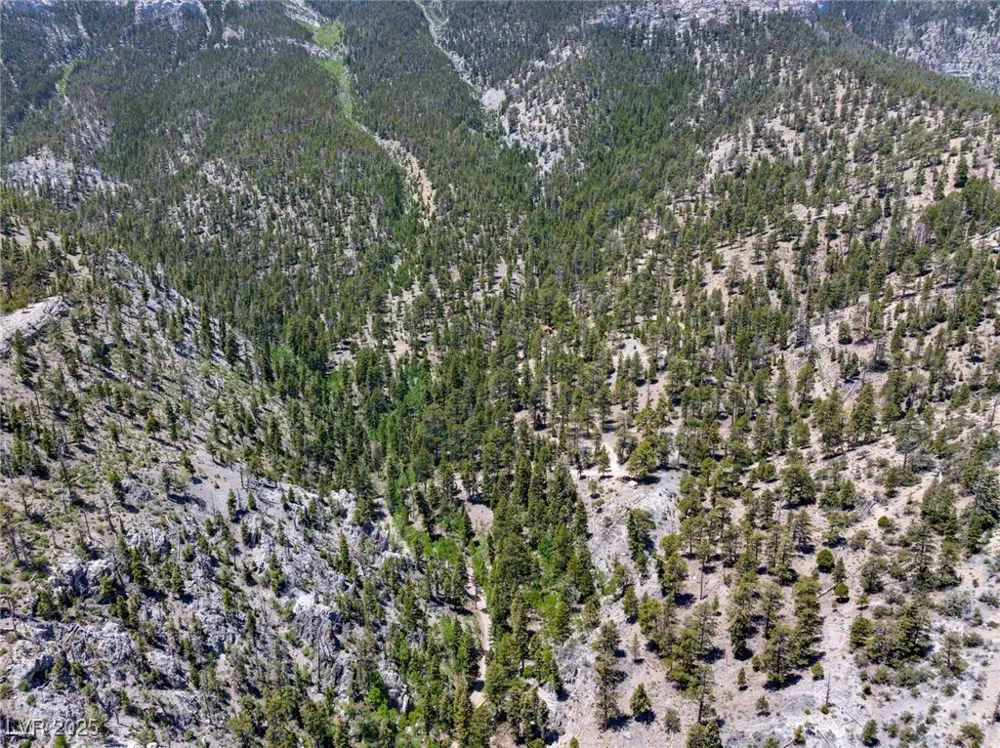 4075 Cougar Ridge Trail Mount Charleston, NV 89124