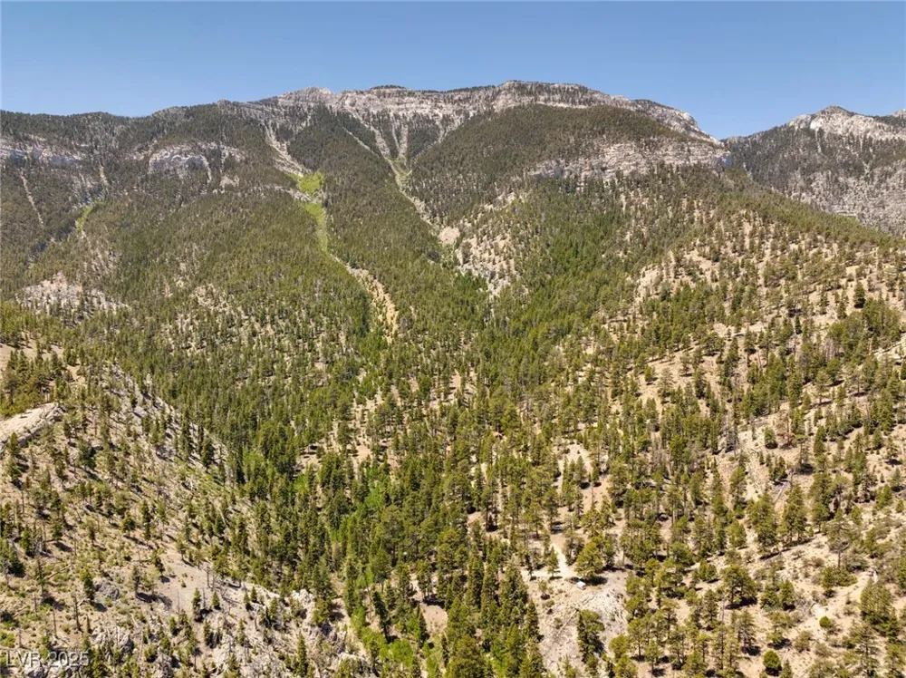 4075 Cougar Ridge Trail Mount Charleston, NV 89124