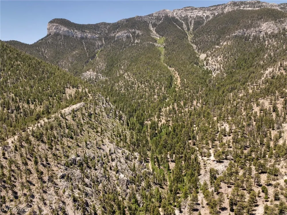 4075 Cougar Ridge Trail Mount Charleston, NV 89124