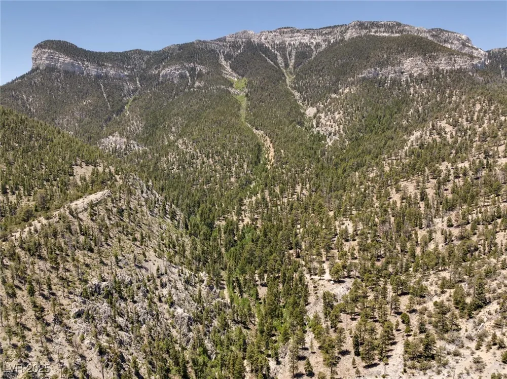 4075 Cougar Ridge Trail Mount Charleston, NV 89124
