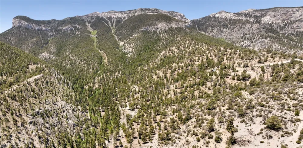 4075 Cougar Ridge Trail Mount Charleston, NV 89124