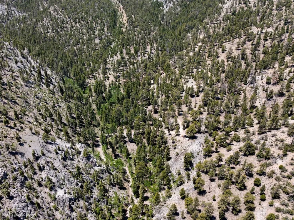 4075 Cougar Ridge Trail Mount Charleston, NV 89124