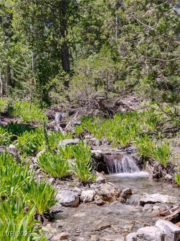 4075 Cougar Ridge Trail Mount Charleston, NV 89124
