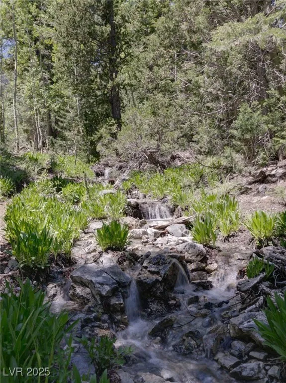 4075 Cougar Ridge Trail Mount Charleston, NV 89124