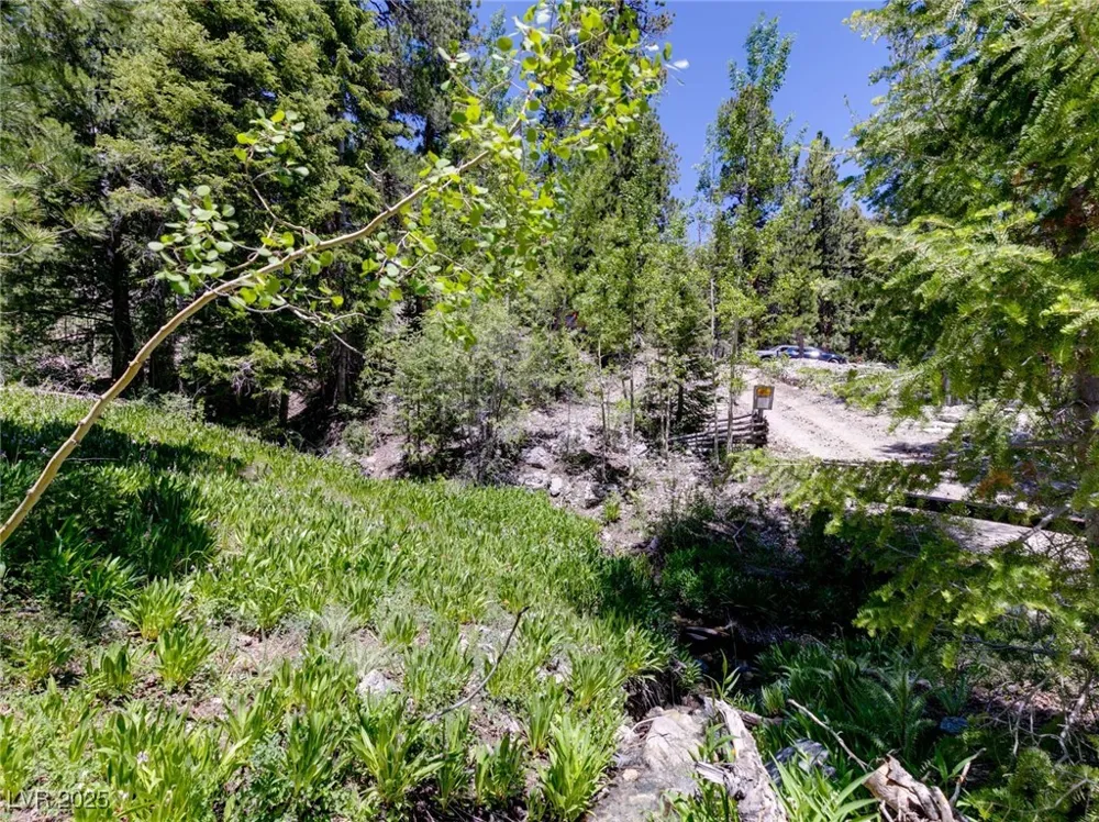 4075 Cougar Ridge Trail Mount Charleston, NV 89124