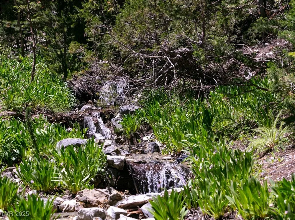 4075 Cougar Ridge Trail Mount Charleston, NV 89124