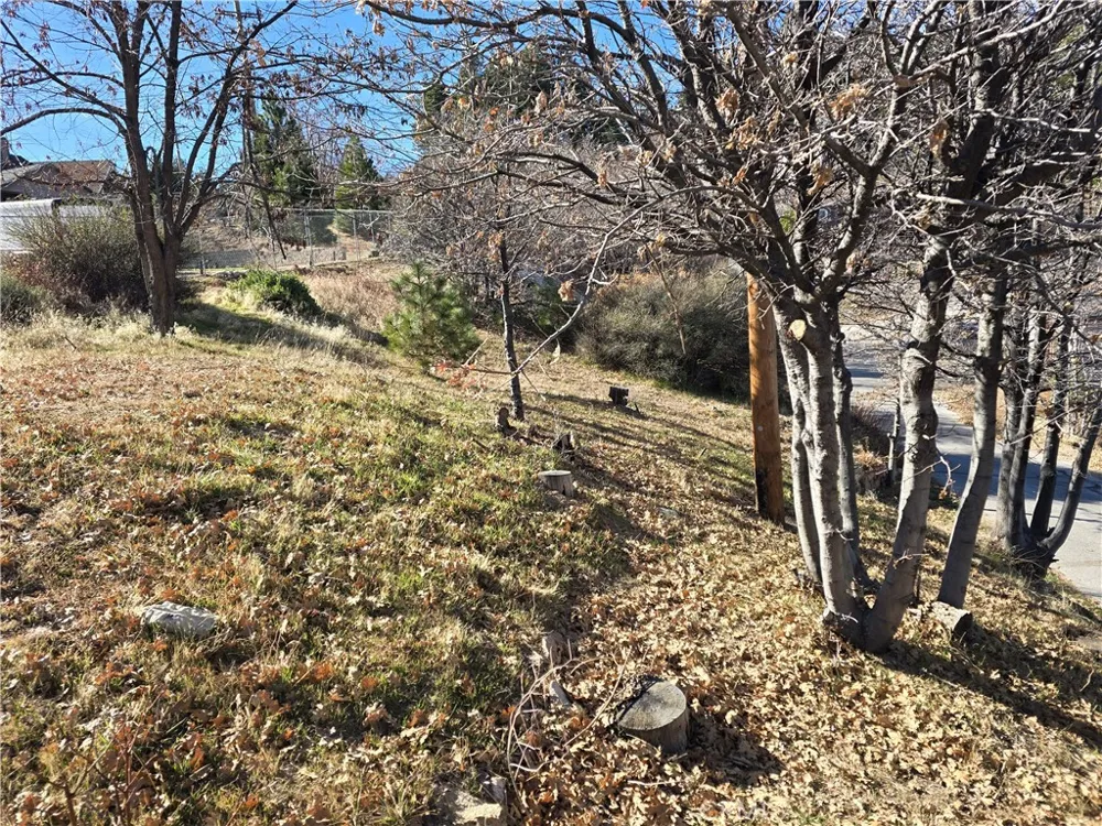 2350 deep creek Running Springs, CA 92382