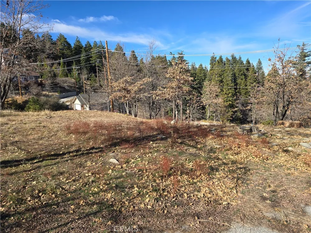 2350 deep creek Running Springs, CA 92382