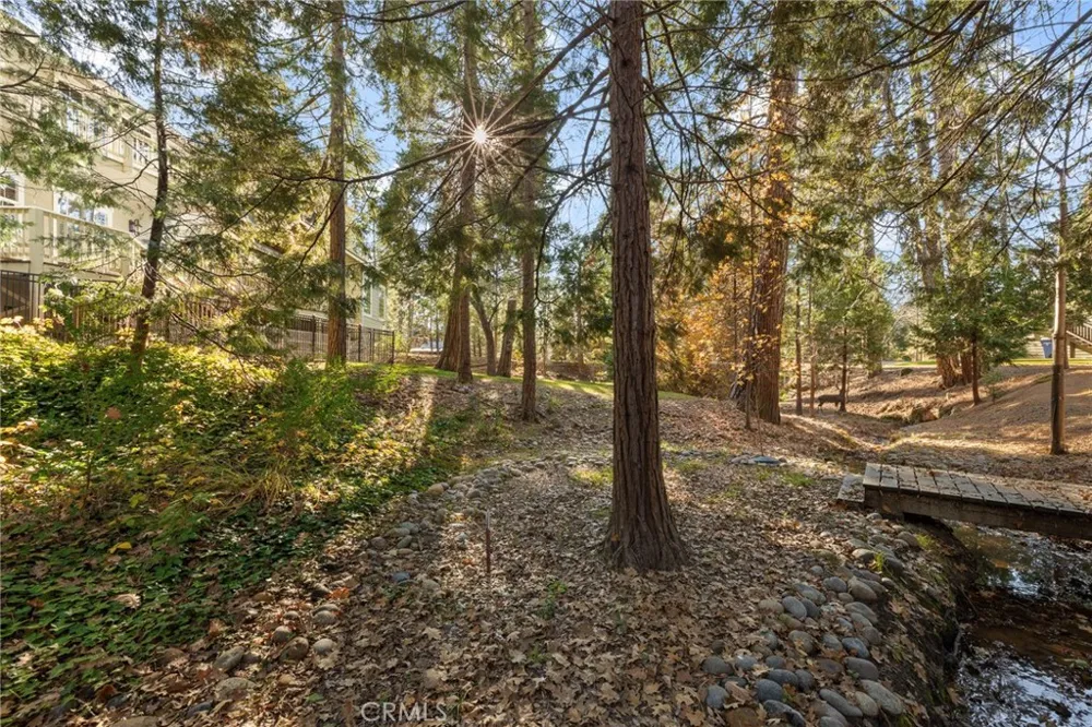53875 Dogwood Creek Bass Lake, CA 93604