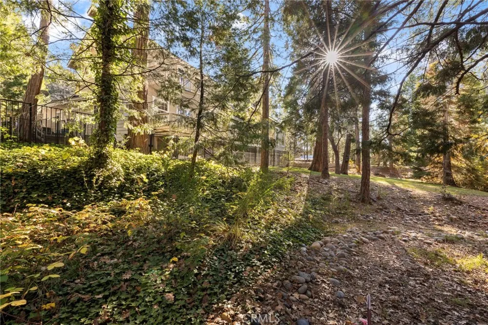 53875 Dogwood Creek Bass Lake, CA 93604