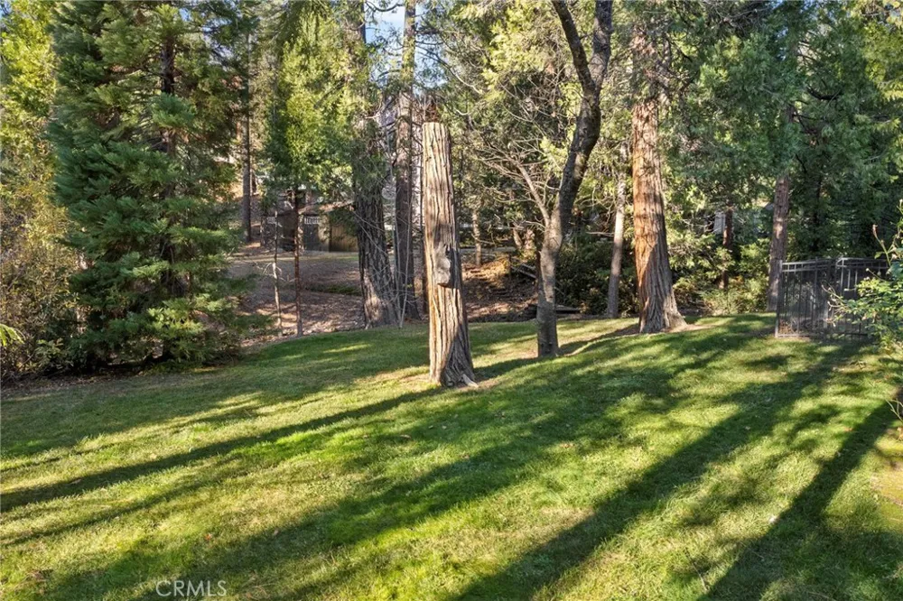 53875 Dogwood Creek Bass Lake, CA 93604