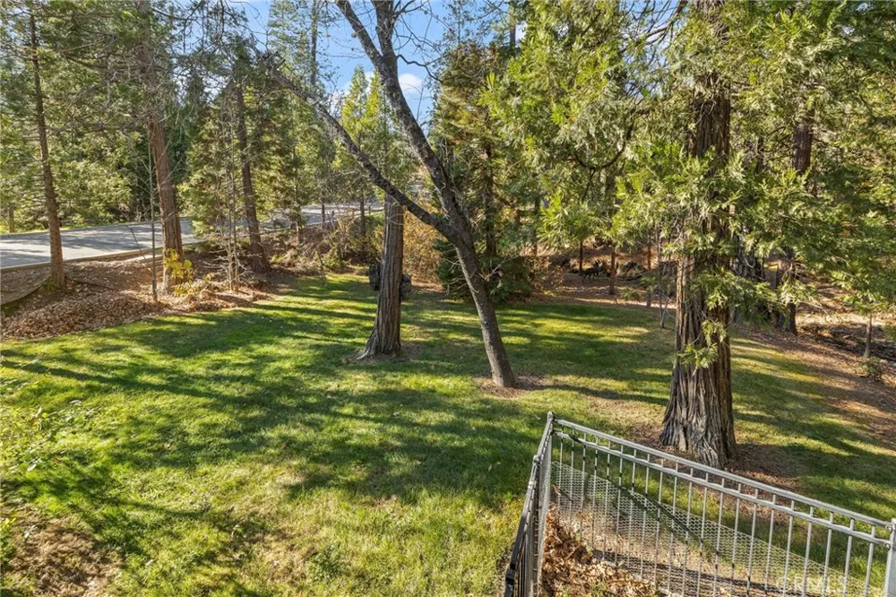 53875 Dogwood Creek Bass Lake, CA 93604