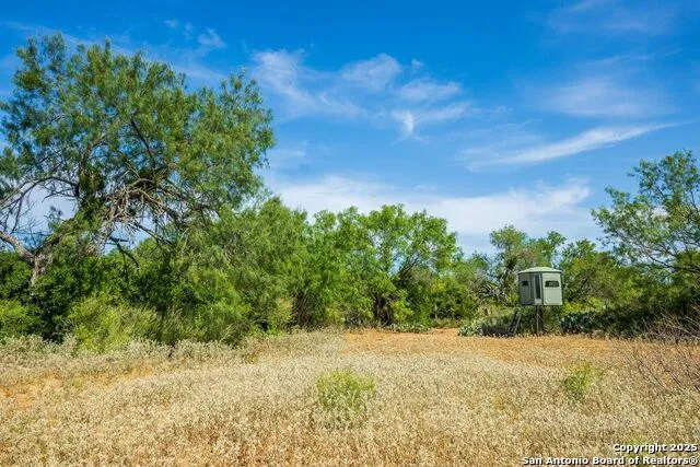 CR 732 Cr 732 Yancey, TX 78666