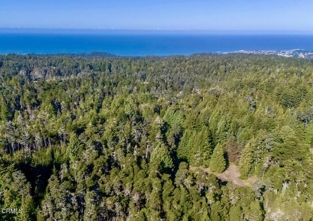 43535 Comptche Ukiah Road Mendocino, CA 95460