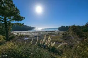 43535 Comptche Ukiah Road Mendocino, CA 95460