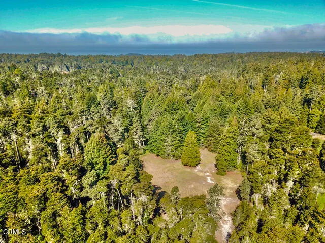 43535 Comptche Ukiah Road Mendocino, CA 95460