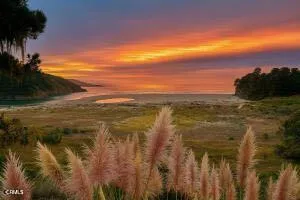 43535 Comptche Ukiah Road Mendocino, CA 95460